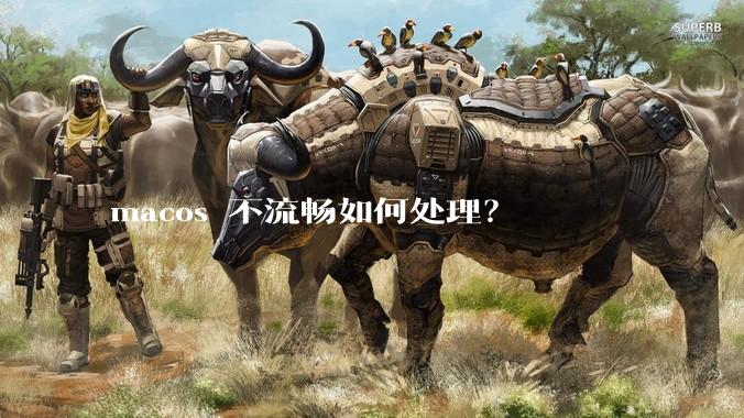 macos 不流畅如何处理？