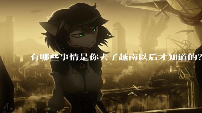 有哪些事情是你去了越南以后才知道的？