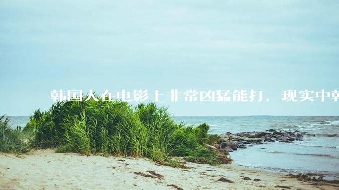 韩国人在电影上非常凶猛能打，现实中韩国男人的战力如何?
