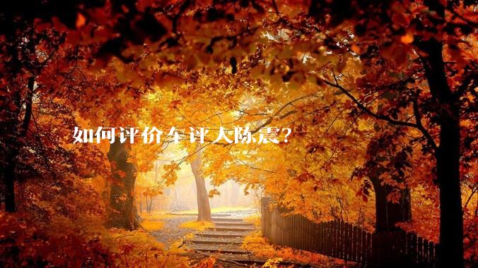 如何评价车评人陈震？