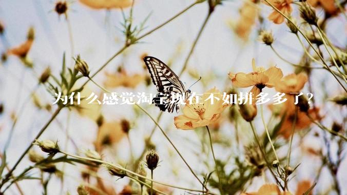 为什么感觉淘宝现在不如拼多多了？