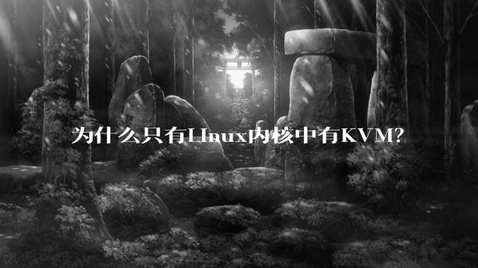 为什么只有Linux内核中有KVM？