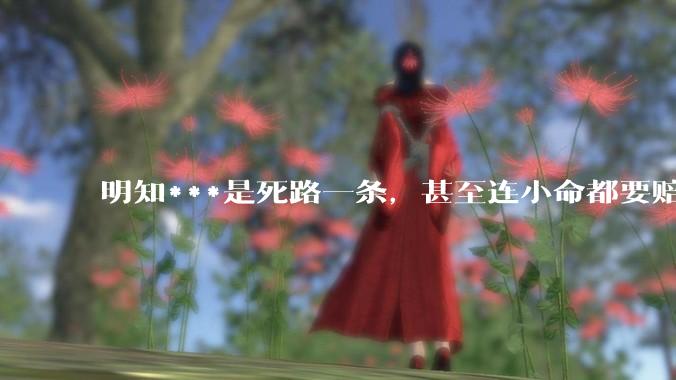 明知***是死路一条，甚至连小命都要赔进去，台湾领导人为什么还要坚持搞***？