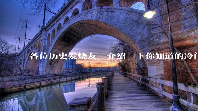 各位历史发烧友，介绍一下你知道的冷门史实或逆天史实？