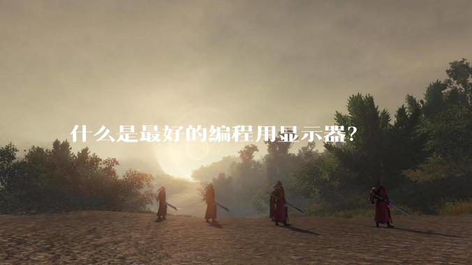 什么是最好的编程用显示器？